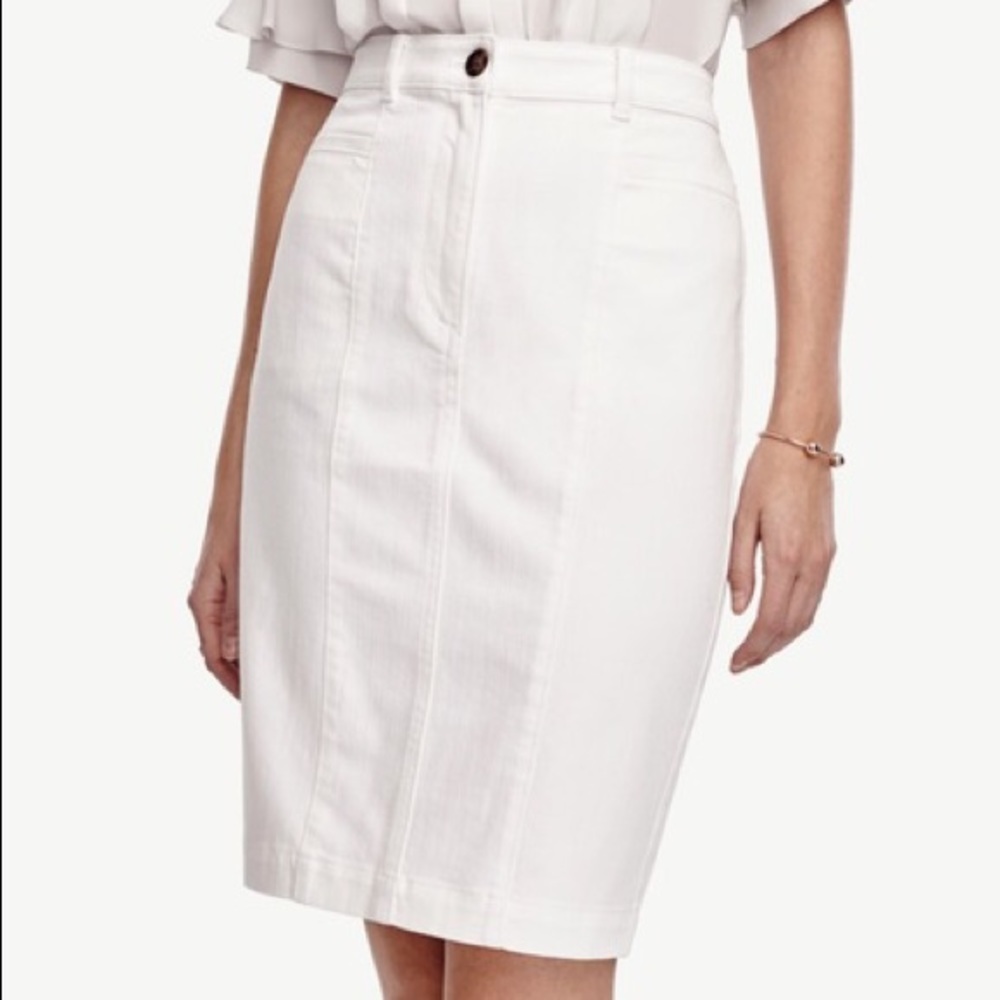 Ann Taylor Jean Skirt